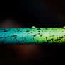 SO-EZ Fade / Splatter- size 56